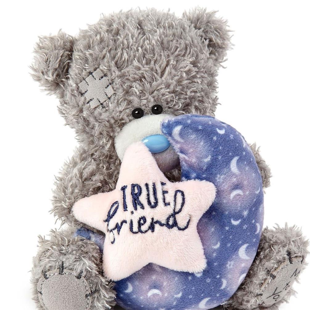 5" True Friend Me to You Bear Extra Image 2